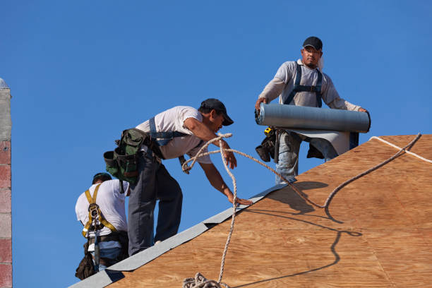 Professional Roofing Contractor in New Chicago, IN