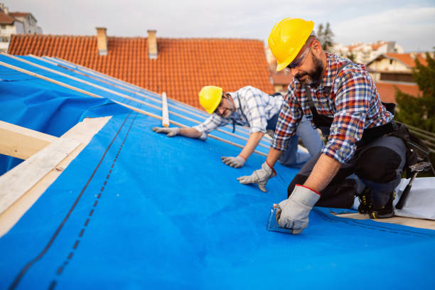 Best Roof Repair Services  in New Chicago, IN